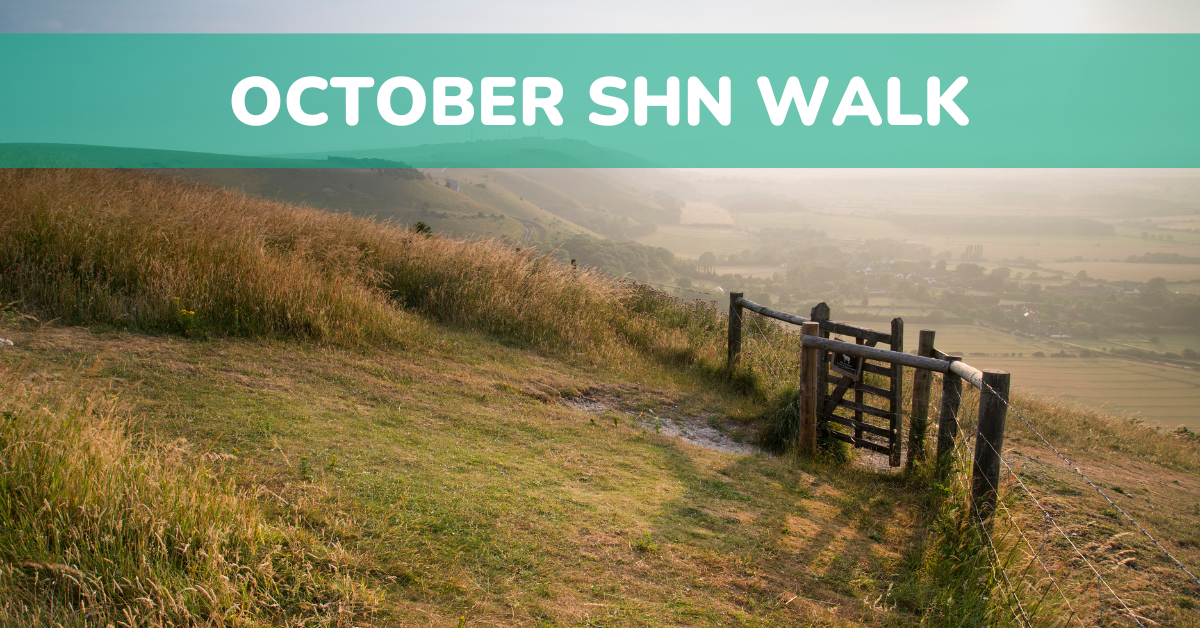 October walk for SHN