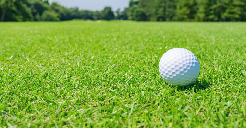 Image of a golf course