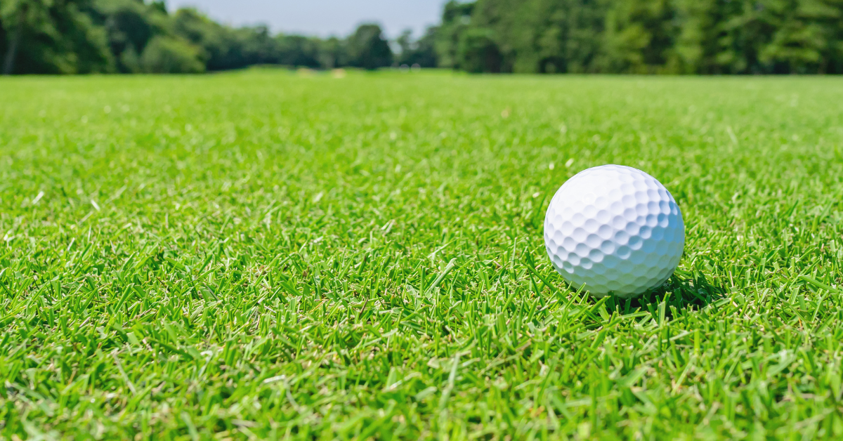 Image of a golf course