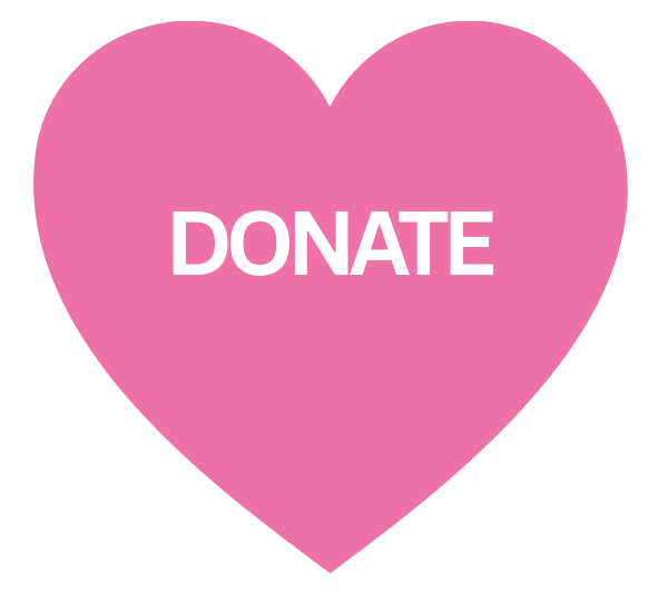 SHN Donate Icon