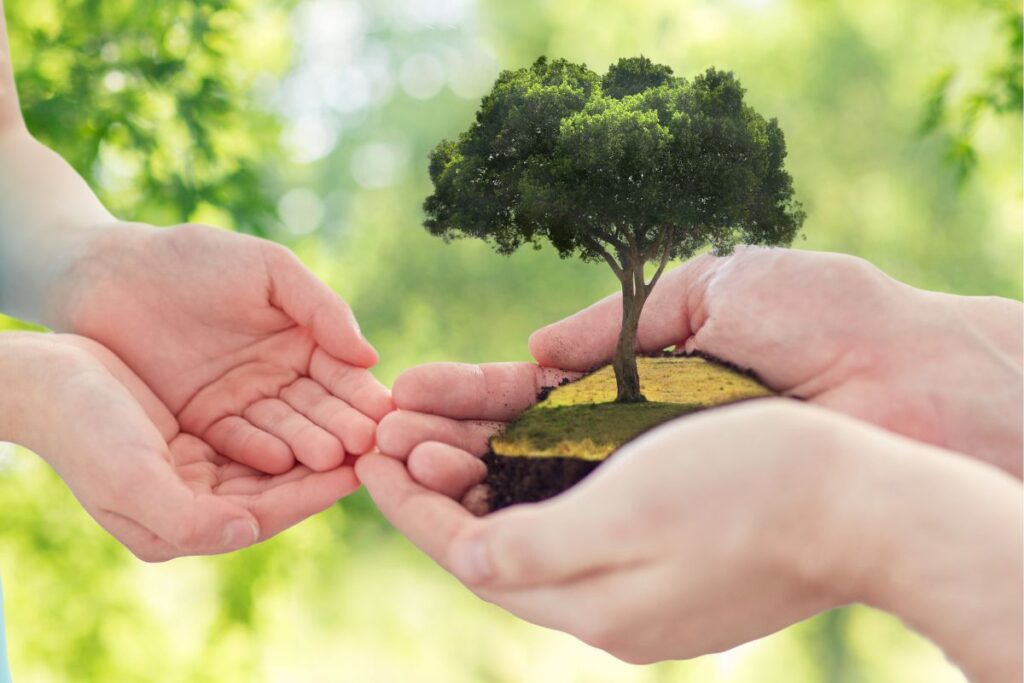 senior passing bonsai tree to junior to represent legacy