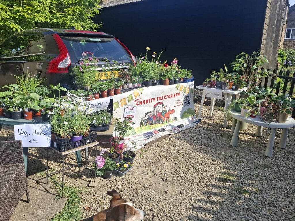 Tysoe Plant Sale